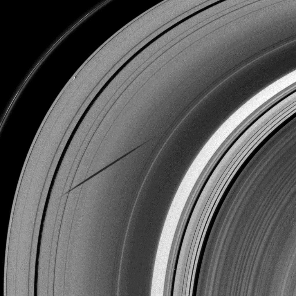 The shadow of the moon Janus dwarfs the shadow of Daphnis on Saturn's A ring
