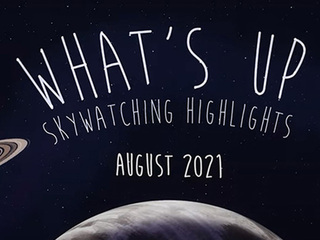 What's Up: August 2021