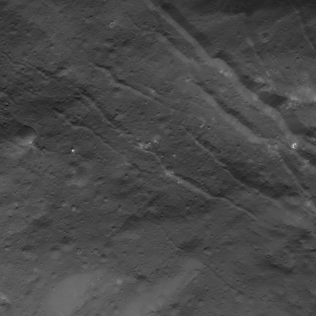 Fractures in Occator Crater