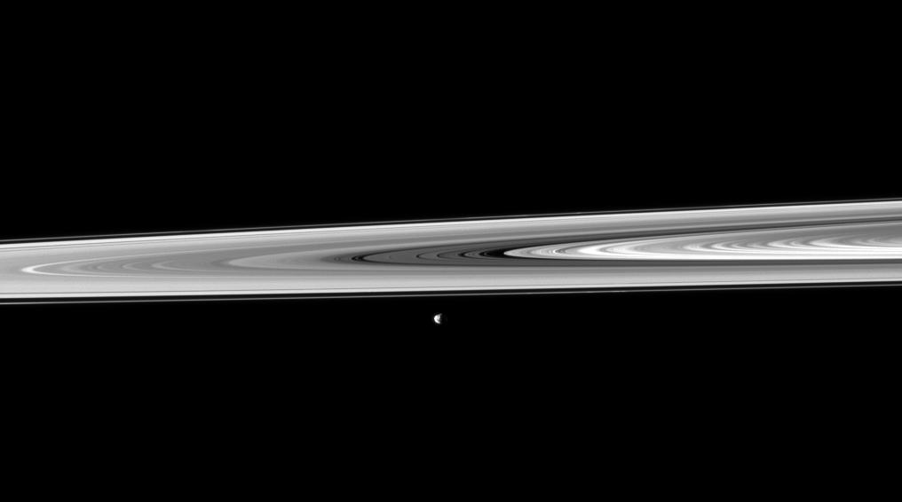 Janus and Saturn's rings