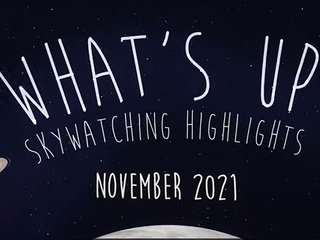 What's Up: November 2021