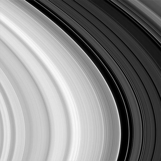 Outer B Ring Edge