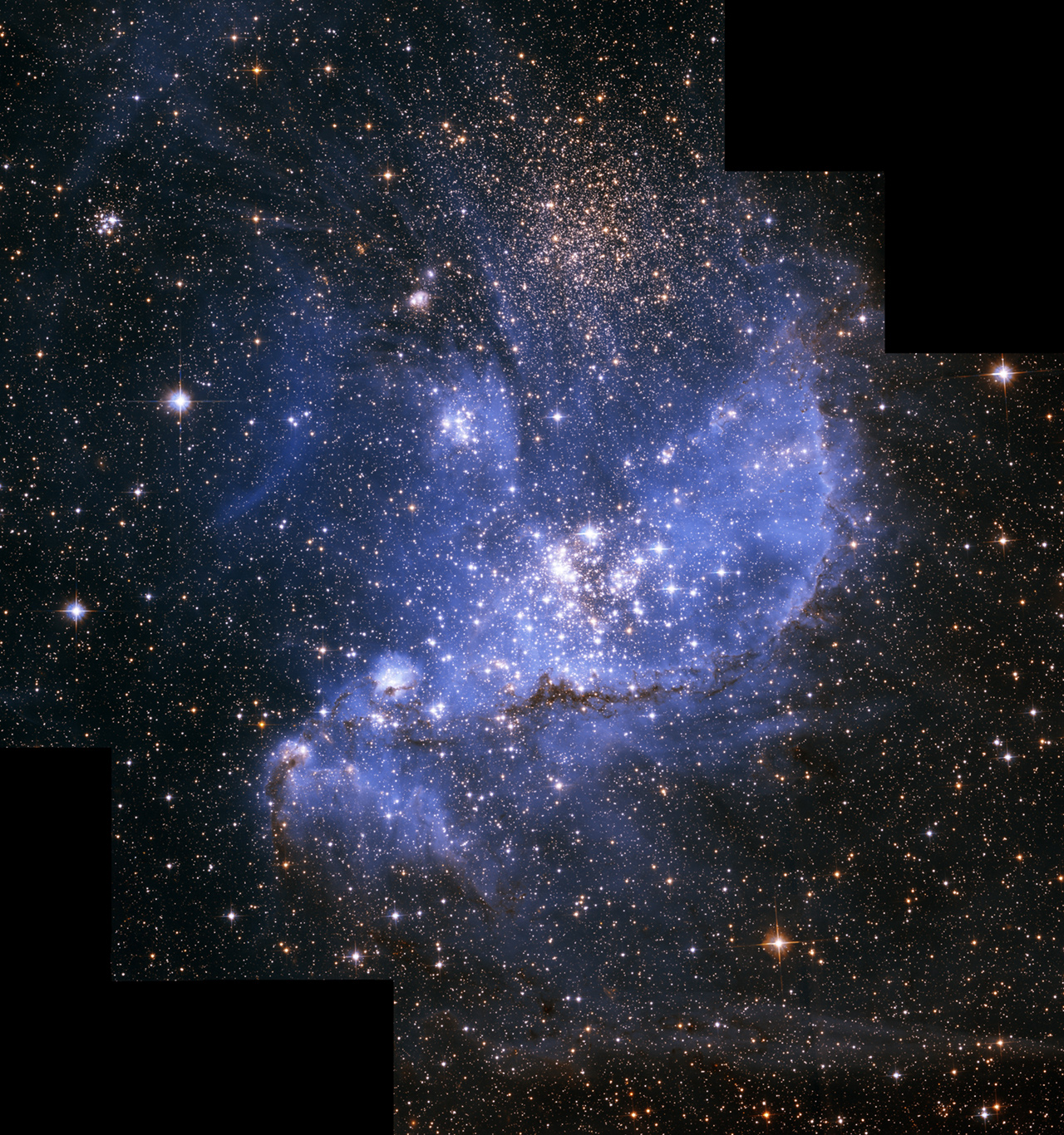 Infant stars embedded in the nebula NGC 346