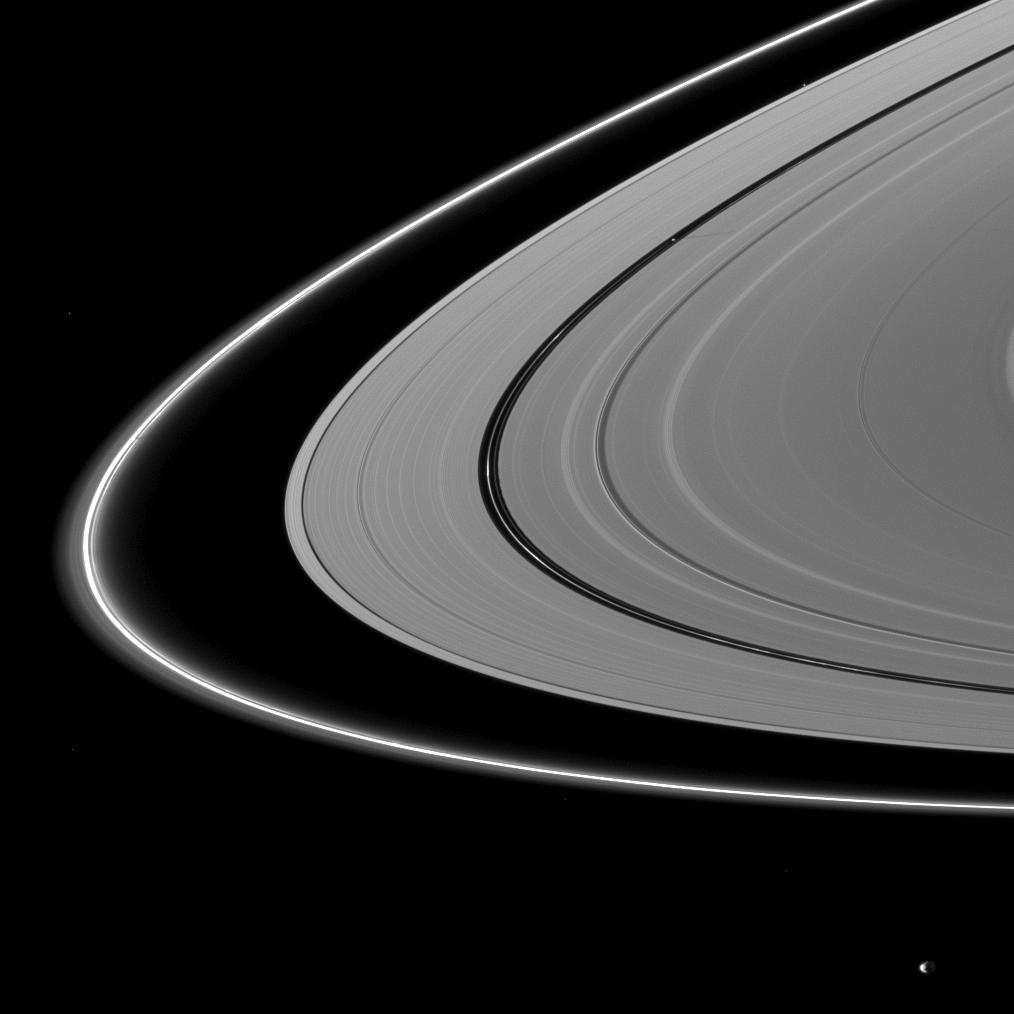 Shadows on Saturn's rings, the moons Pan and Janus