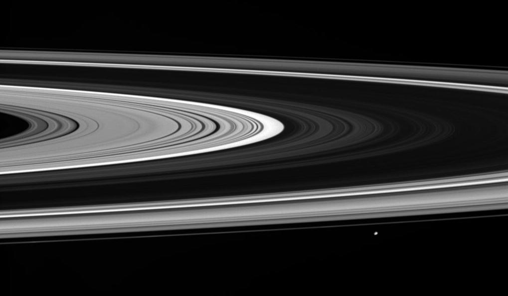Saturn's rings and the moon Janus