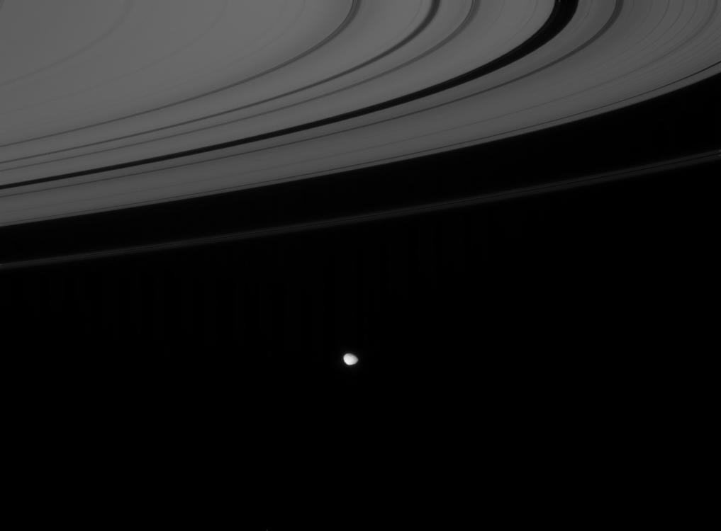 Saturn's rings and Janus
