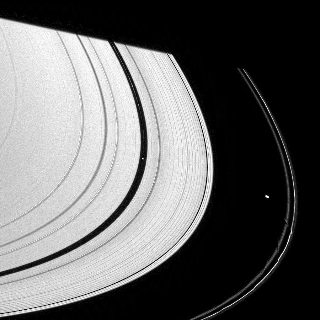 Saturn's rings and three small moons: Daphnis, Pan and Prometheus