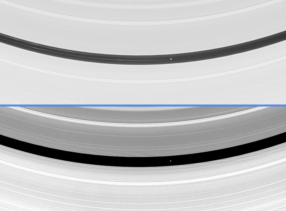 Pan orbiting within the Encke Gap in Saturn's A ring