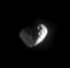 Close-up view of Janus
