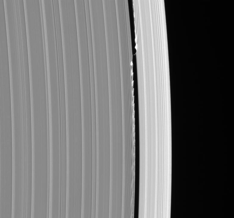 Tiny moon Daphnis and Saturn's rings