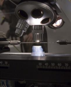 Special 'needles' mounted on micro-manipulators controlled by computer to carefully and 
precisely cut out sections of aerogel that contain cometary samples.