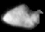 Gray scale STARDUST image of Asteroid 5535 Annefrank just prior to closest approach