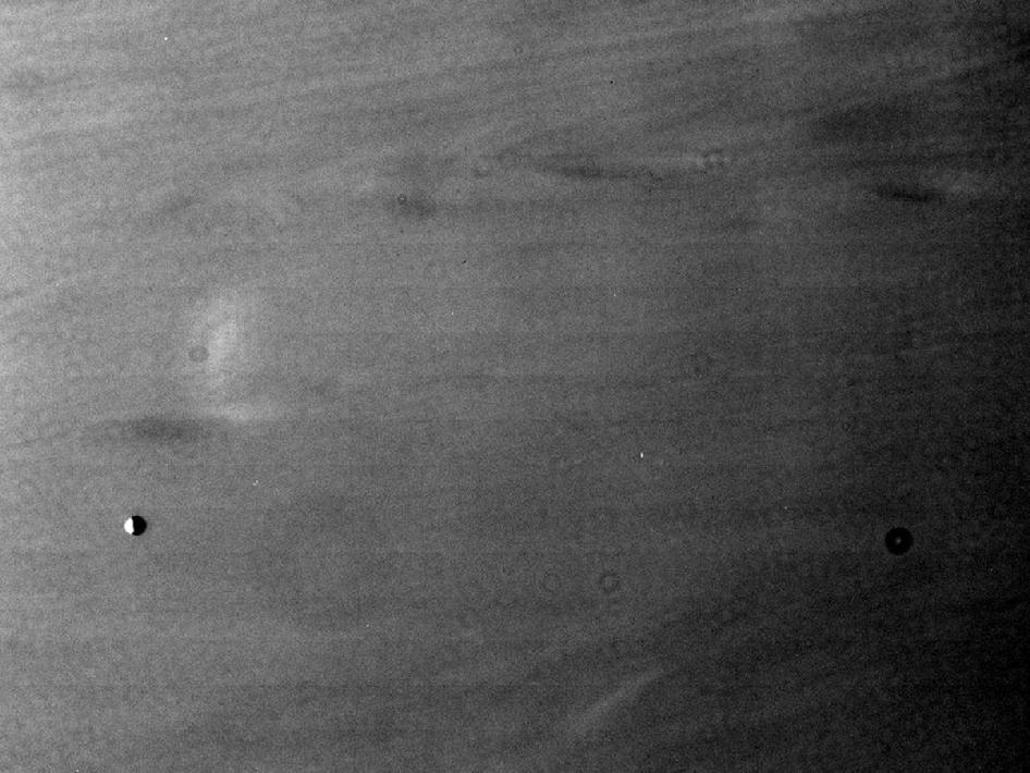 Image of Pallene captured by the Cassini spacecraft.