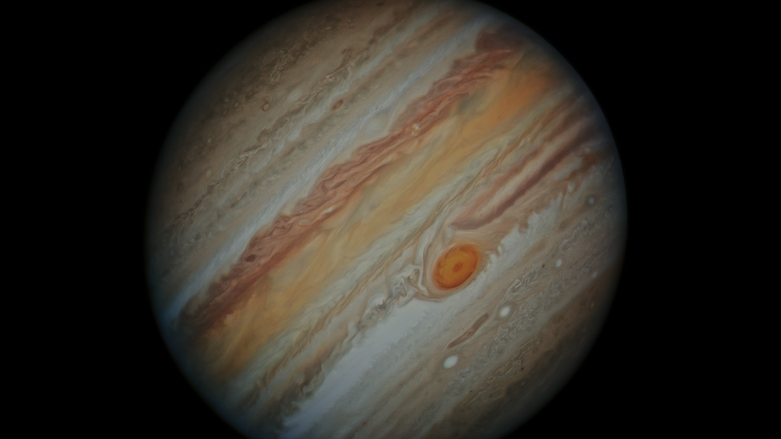 full-disc view of colorful, banded clouds and red storm on jupiter
