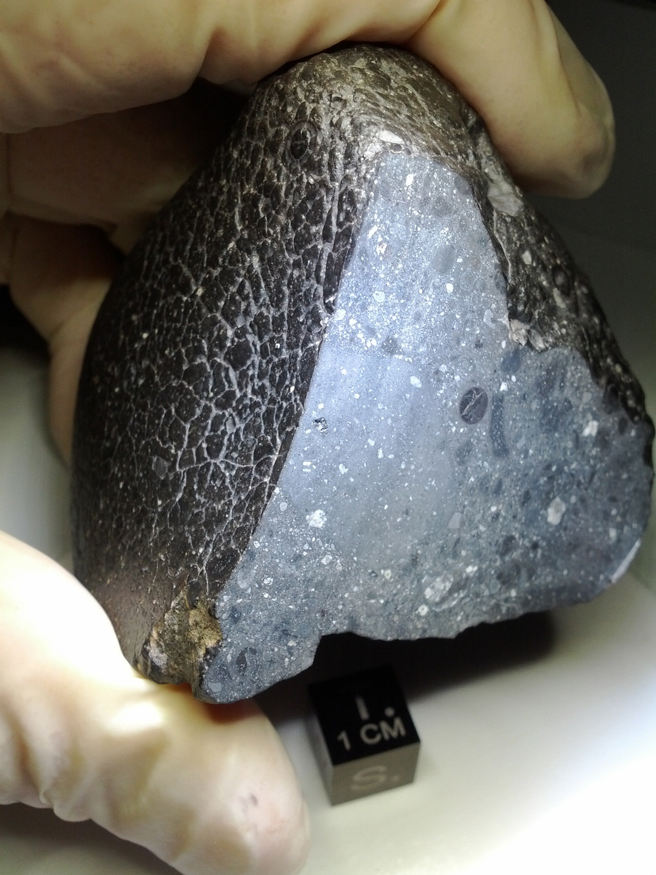 Black meteorite held between thumb and finger.