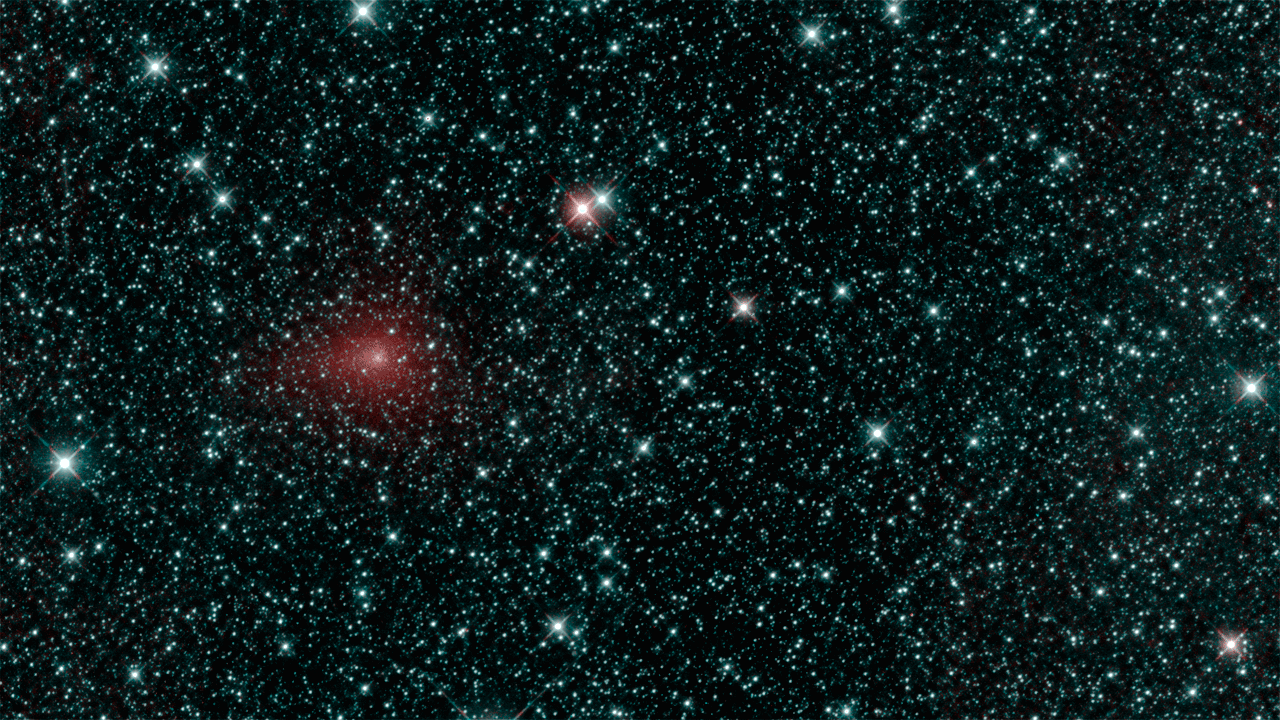Animated GIF of comet moving across a field of stars.