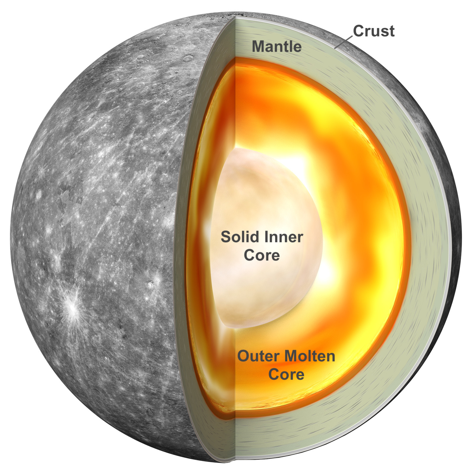 Diagram showing a solid core surrounded by a molten core inside Mercury.