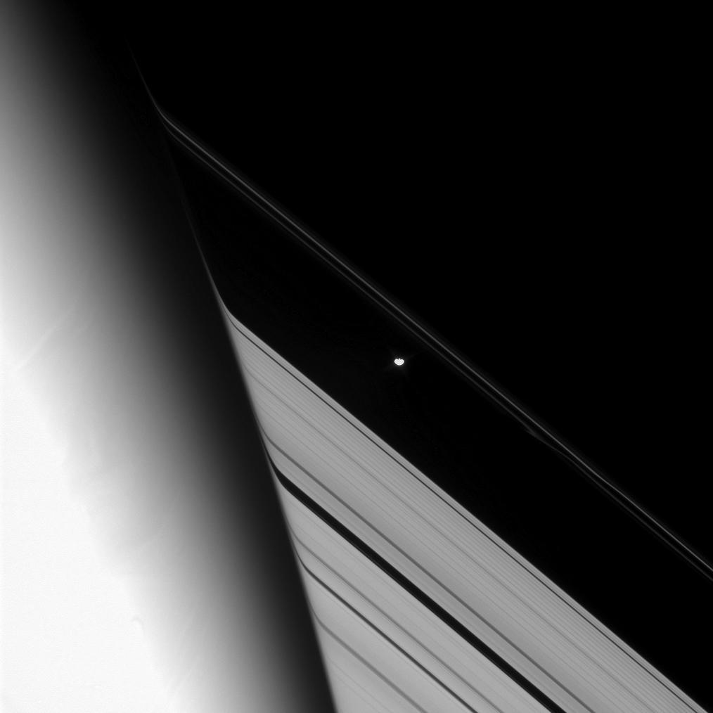 Saturn's rings and the shepherd moon Prometheus