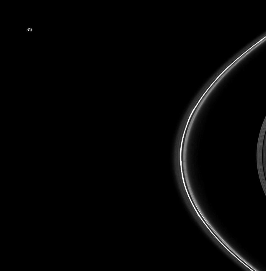 Janus and Saturn's rings