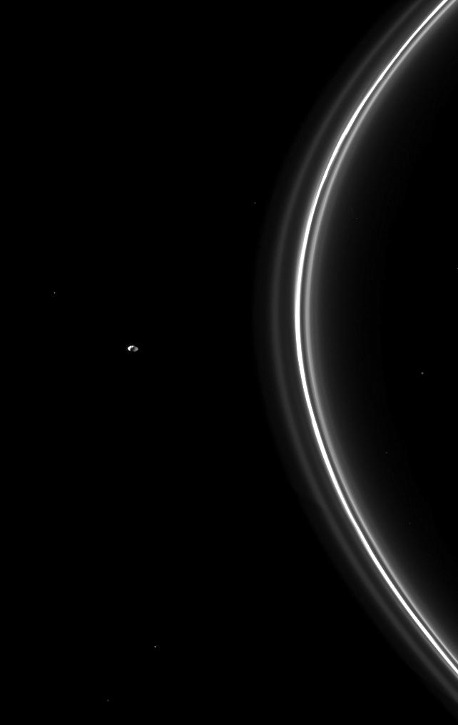 Pandora and Saturn's F ring