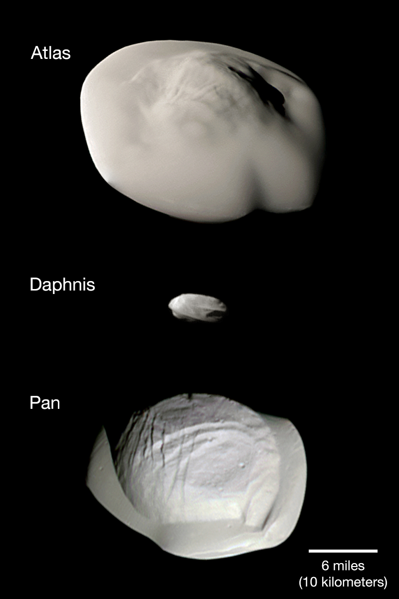 Three of Saturn's small ring moons