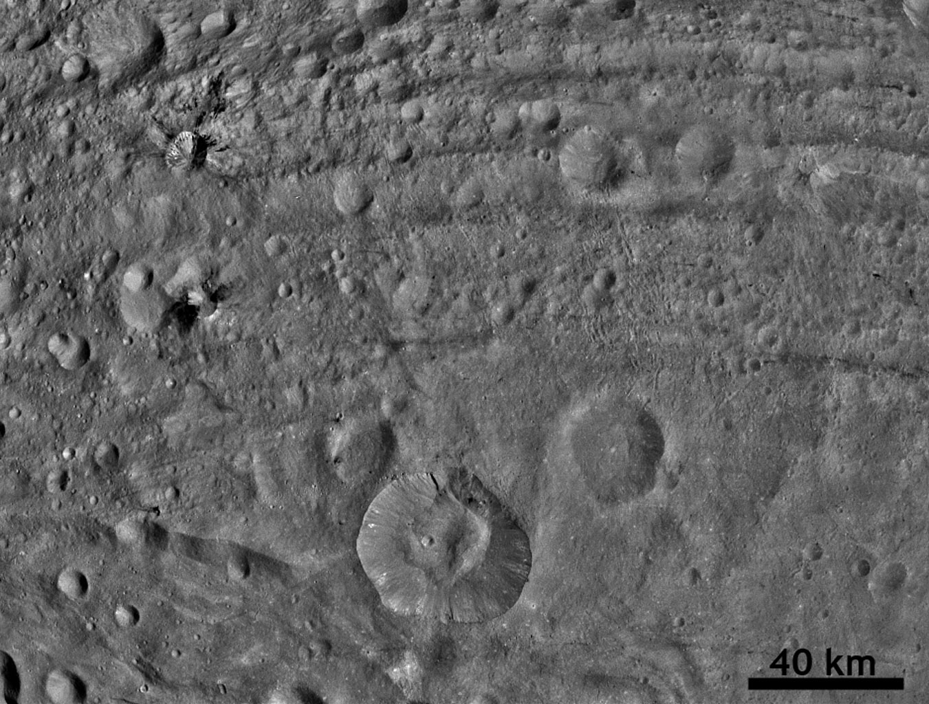 Worm-like Markings on Vesta's Surface