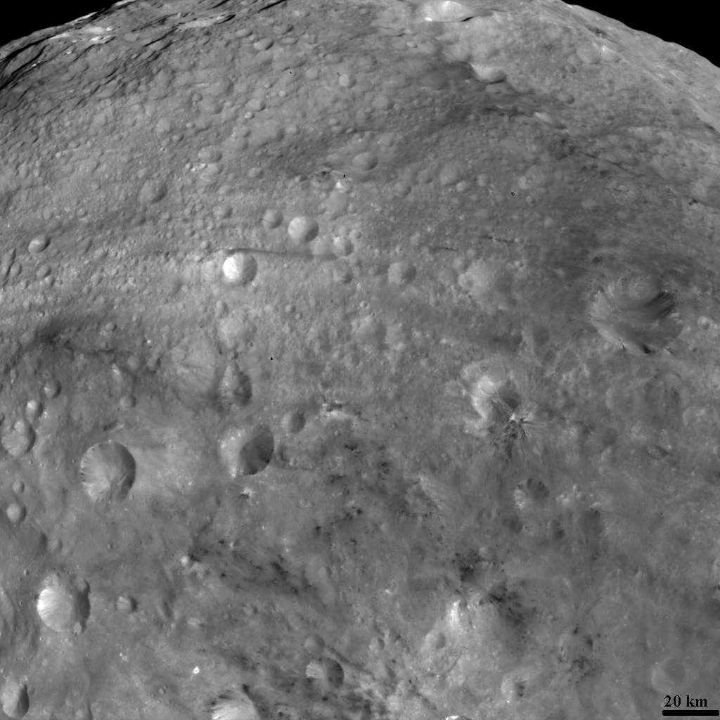 Bright and Dark Material on Vesta