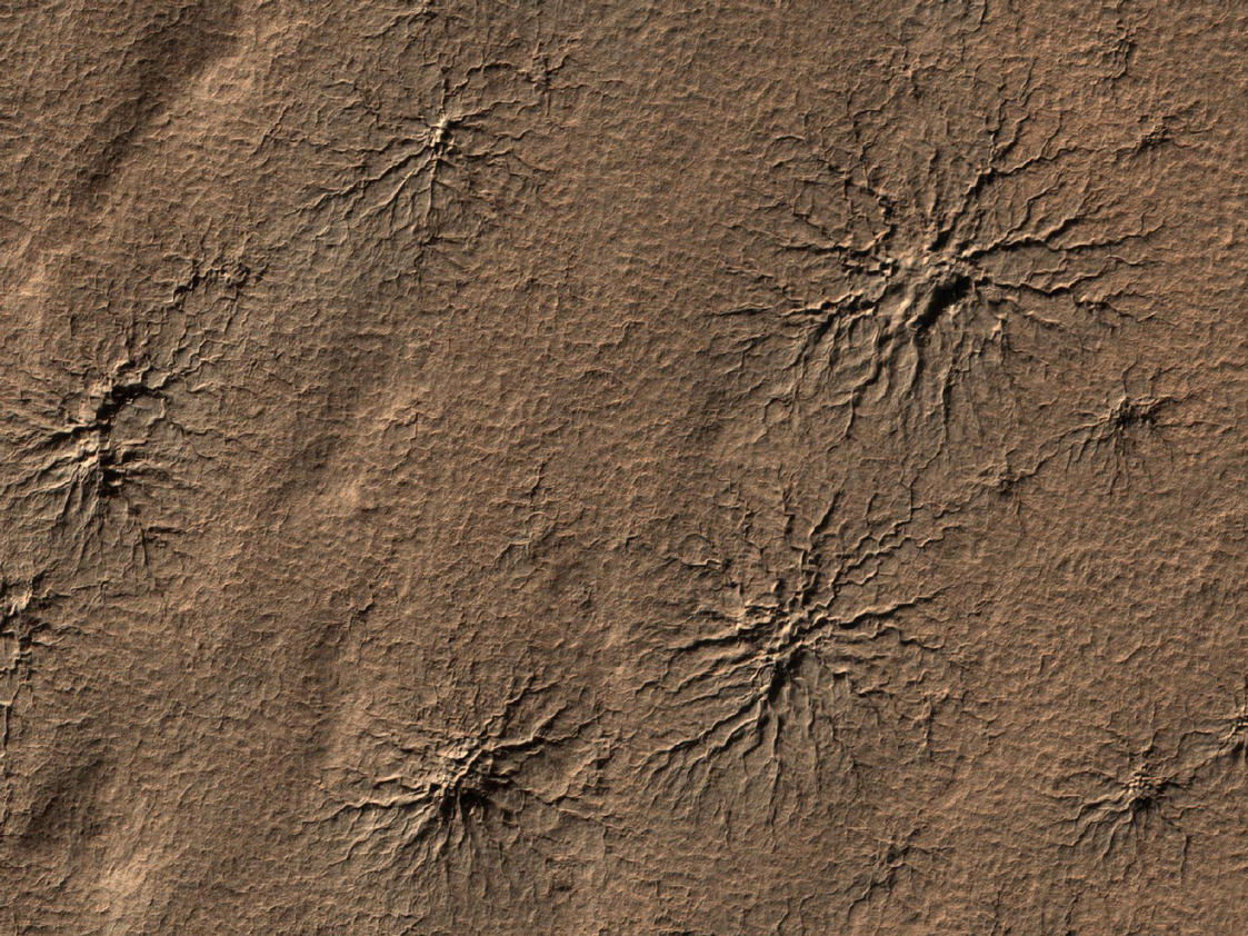 What appear to be spiders scampering across the martian landscape are actually cracks in the surface of the southern polar region on Mars, seen by the Mars Reconnaissance Orbiter on August 23, 2009.