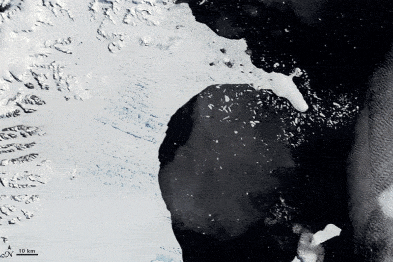 Animation of collapsing ice shelf