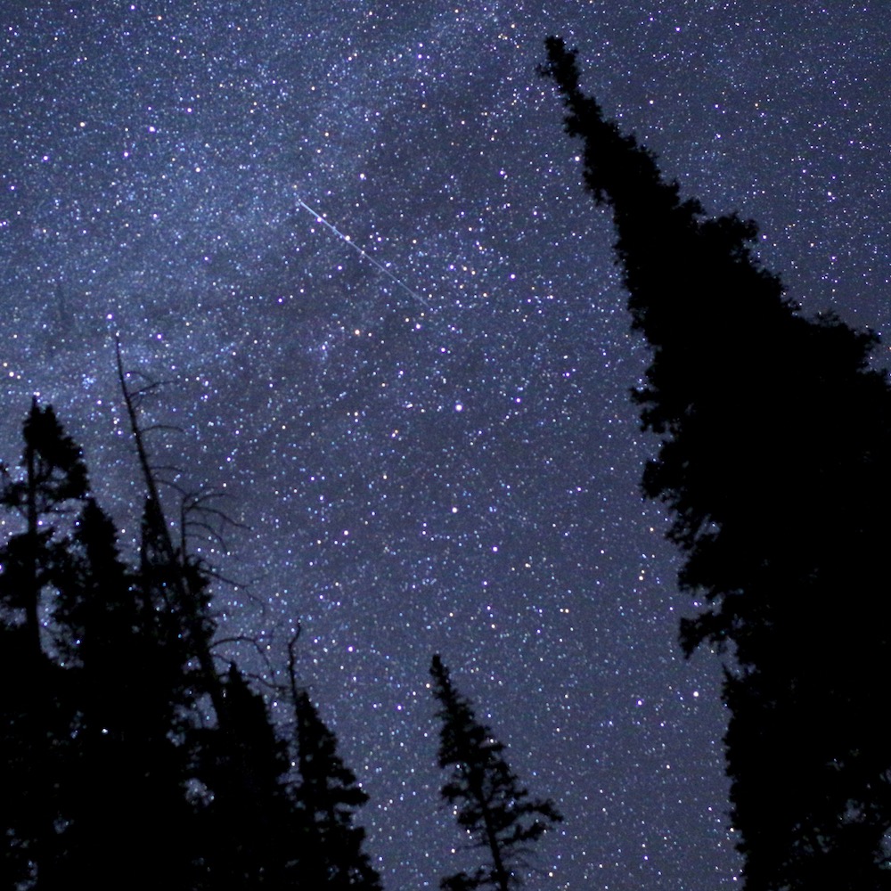 streak of light in dense star field between trees