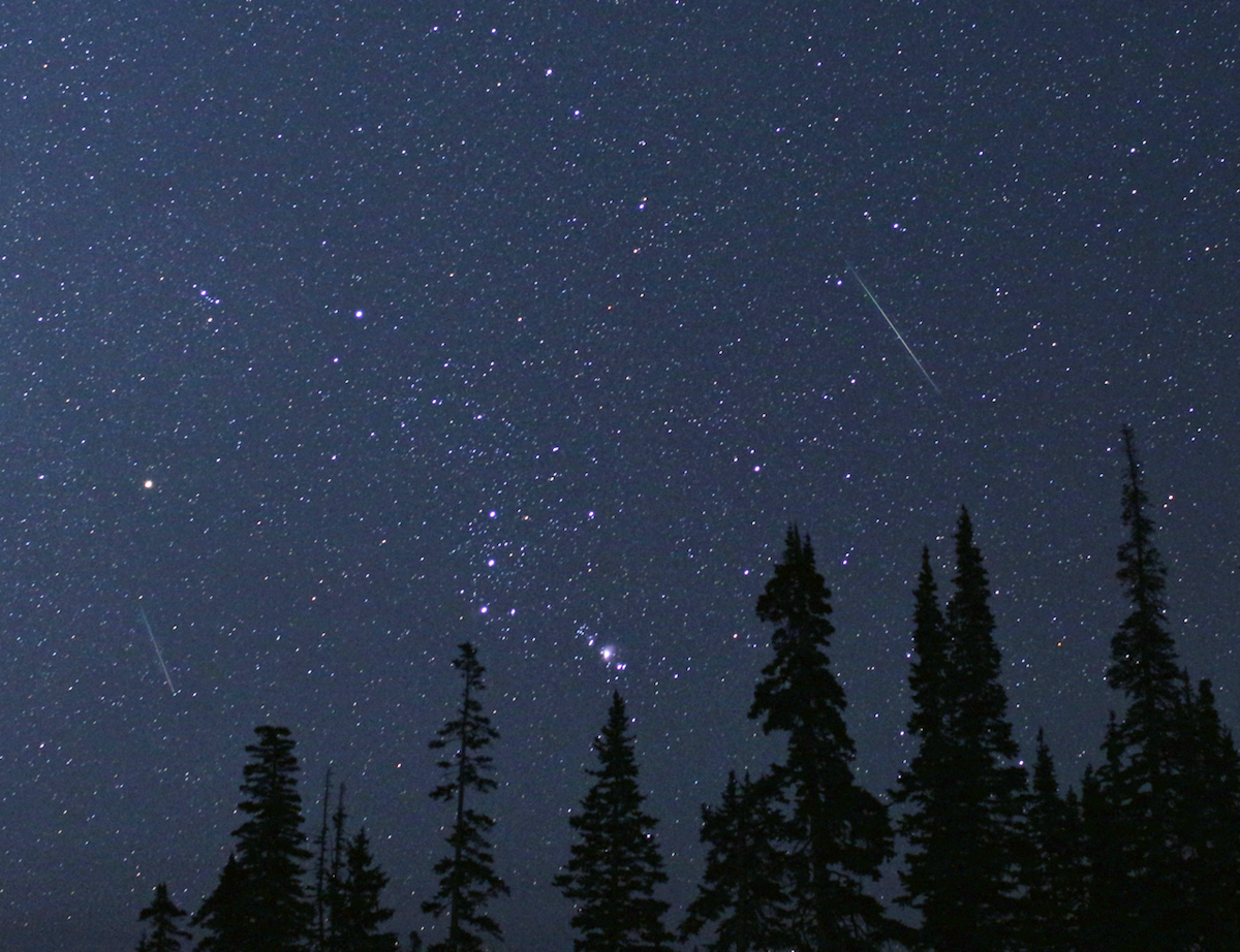 starry sky above tree line with two streaking meteors 